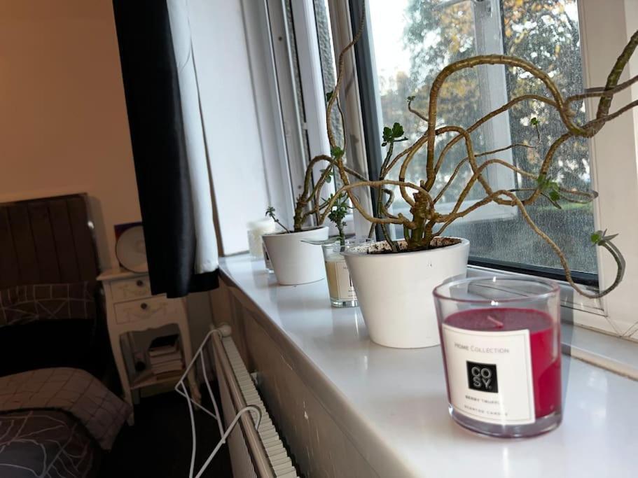 1-Bed Flat With Fast Wi-Fi In Prime Location 15Mins From Central Londres Exterior foto