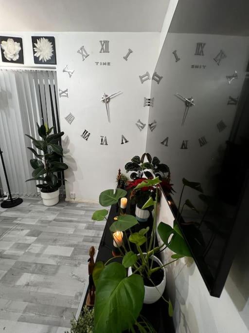 1-Bed Flat With Fast Wi-Fi In Prime Location 15Mins From Central Londres Exterior foto