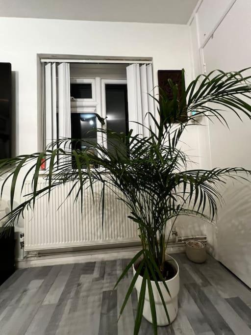 1-Bed Flat With Fast Wi-Fi In Prime Location 15Mins From Central Londres Exterior foto